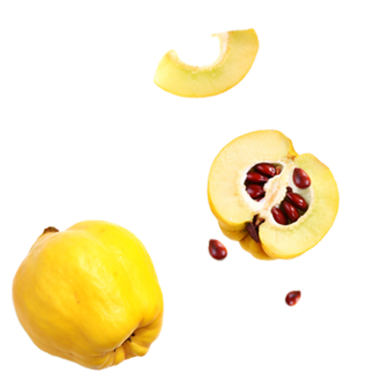 29_fruto_marmelo.png